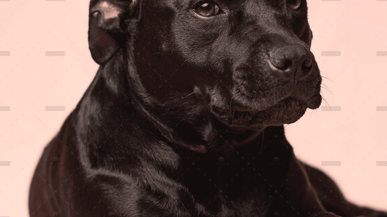 demo-attachment-4054-victor-grabarczyk-2pbnDRhXc6Q-unsplash